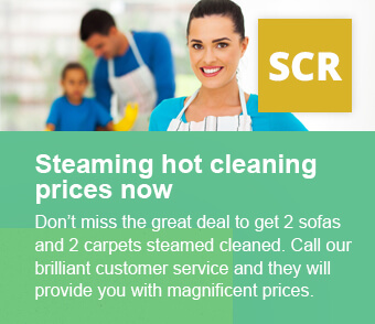 Great Deals on Combined Steam Cleaning Services