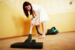 Dry Steam Carpet Cleaning Rental