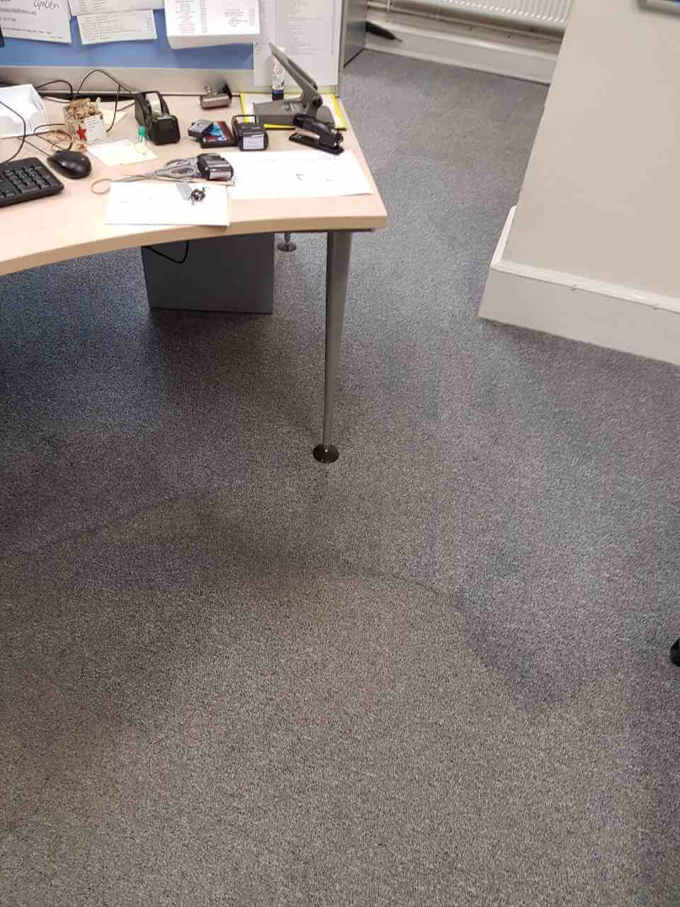 HA5 carpet cleaning