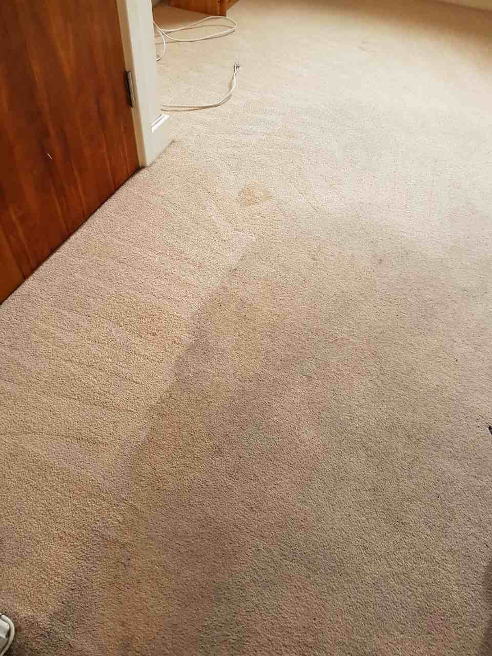 E3 carpet cleaning Bow