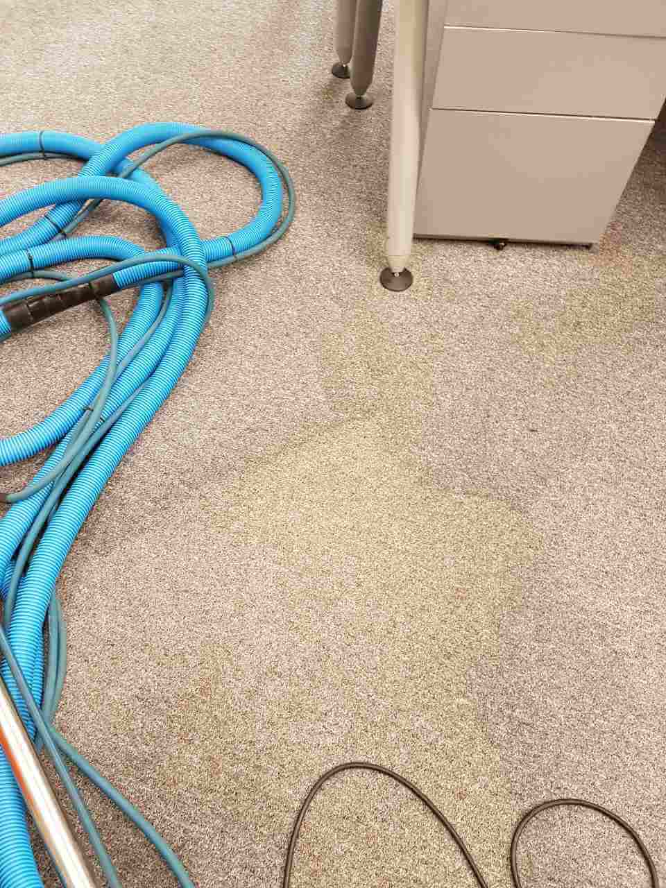 SW5 carpet cleaning